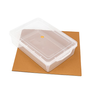 Clear Shallow Rectangular Storage Box